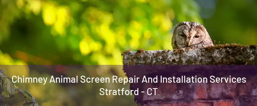 Chimney Animal Screen Repair And Installation Services Stratford - CT