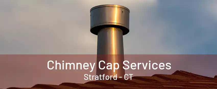 Chimney Cap Services Stratford - CT