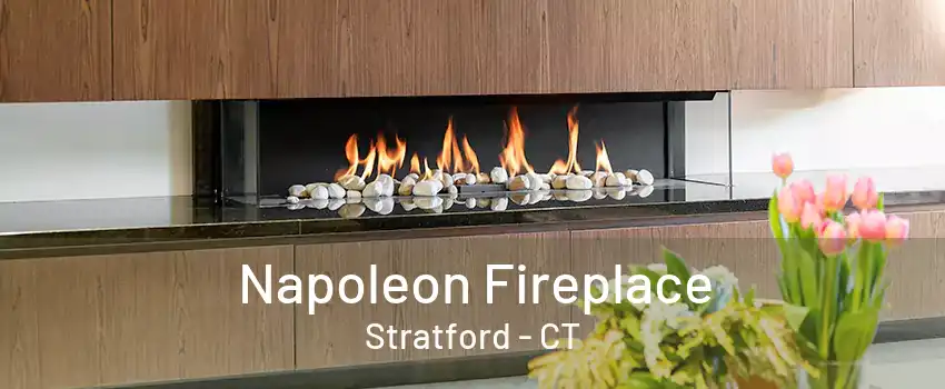 Napoleon Fireplace Stratford - CT